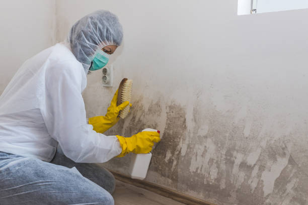 Best Crawl Space Mold Removal  in Ninnekah, OK