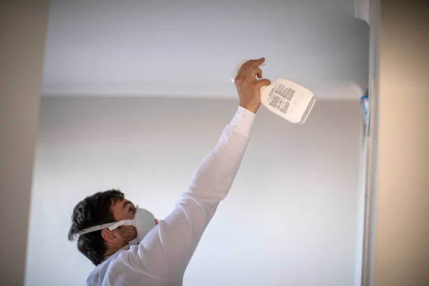 Best Affordable Mold Removal  in Ninnekah, OK