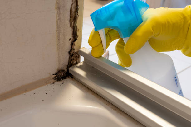 Ninnekah, OK Mold Removal Company