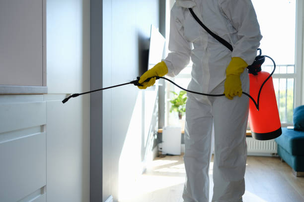 Crawl Space Mold Removal in Ninnekah, OK