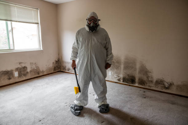 Best Local Mold Removal Service  in Ninnekah, OK